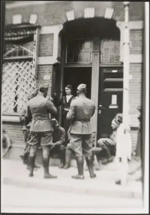 Lange Kromhout image