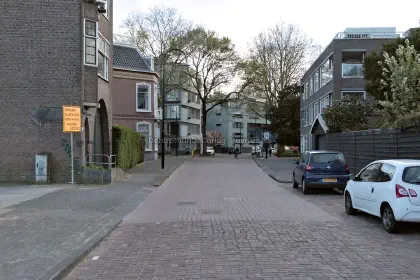 WA marches through the Cornelis de Wittstraat image