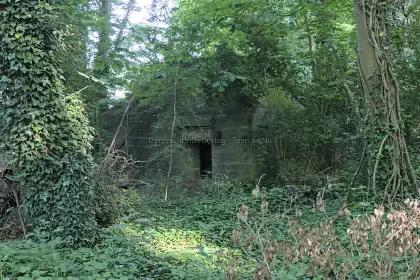 Bodies Amstelwijck image