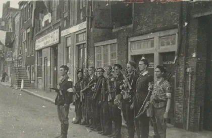 Binnenlandse Strijdkrachten image