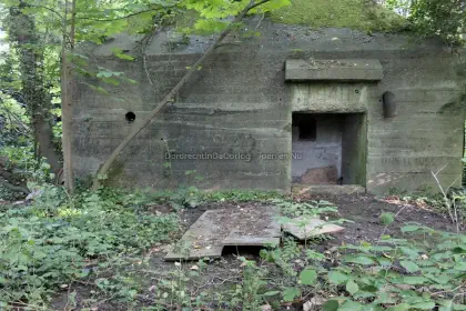 Dode soldaat bij Amstelwijck image