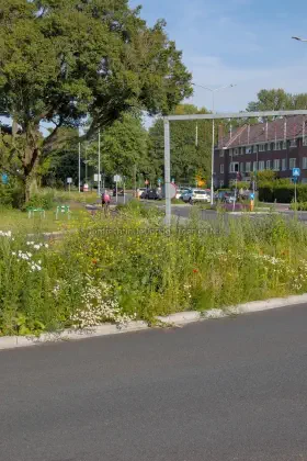 Tank op de Van Baerle Plantsoen image
