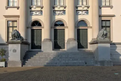 Binnenlandse Strijdkrachten poseren. image